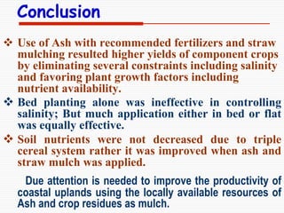 Conservation Practice and Fertilizer Management to Improve Productivity of Wheat-Maize-Rice Cropping System in Coastal Uplands
