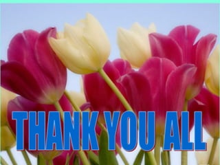 Conservation Practice and Fertilizer Management to Improve Productivity of Wheat-Maize-Rice Cropping System in Coastal Uplands