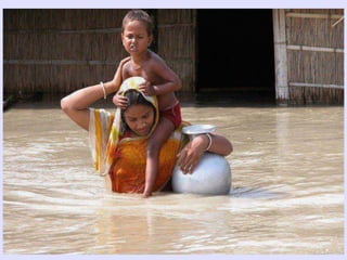 Conservation Practice and Fertilizer Management to Improve Productivity of Wheat-Maize-Rice Cropping System in Coastal Uplands