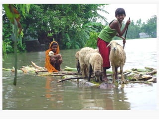 Conservation Practice and Fertilizer Management to Improve Productivity of Wheat-Maize-Rice Cropping System in Coastal Uplands