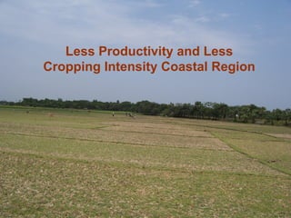 Conservation Practice and Fertilizer Management to Improve Productivity of Wheat-Maize-Rice Cropping System in Coastal Uplands
