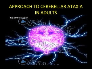 APPROACH TO CEREBELLAR ATAXIA
IN ADULTS
 