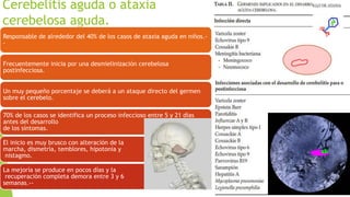 Cerebelitis aguda o ataxia
cerebelosa aguda.
Responsable de alrededor del 40% de los casos de ataxia aguda en niños.-
-
Frecuentemente inicia por una desmielinización cerebelosa
postinfecciosa.
Un muy pequeño porcentaje se deberá a un ataque directo del germen
sobre el cerebelo.
70% de los casos se identifica un proceso infeccioso entre 5 y 21 días
antes del desarrollo
de los síntomas.
El inicio es muy brusco con alteración de la
marcha, dismetría, temblores, hipotonía y
nistagmo.
La mejoría se produce en pocos días y la
recuperación completa demora entre 3 y 6
semanas.--
 