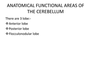 ANATOMICAL FUNCTIONAL AREAS OF
THE CEREBELLUM
There are 3 lobe:-
Anterior lobe
Posterior lobe
Flocculonodular lobe
 