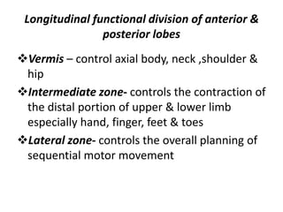 Longitudinal functional division of anterior &
posterior lobes
Vermis – control axial body, neck ,shoulder &
hip
Intermediate zone- controls the contraction of
the distal portion of upper & lower limb
especially hand, finger, feet & toes
Lateral zone- controls the overall planning of
sequential motor movement
 