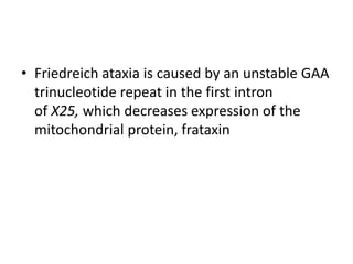 • Friedreich ataxia is caused by an unstable GAA
trinucleotide repeat in the first intron
of X25, which decreases expression of the
mitochondrial protein, frataxin
 