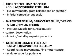 • ARCHICEREBELLUM/ FLOCCULO
NODULAR/VESTIBULO CERELLUM
• - Eye movements, gross balance and orientation
• - Inferior cerebellar pudencle
• PALLEOCEREBELLUM/ SPINOCEREBELLUM/ VERMIS
& PAR VERMIAN REGION
• - Posture, Muscle tone, Axial muscle
• control, Locomotion
• - Inferior/ middle/ superior pudencle
• NEOCEREBELLUM/ CELEBELLAR
HEMISPHERES/PONTO CEREBELLUM
• - Coordinating movements, Fine motor control
• - middle/ superior pudencle
 