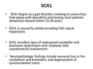 SCA1
• SCA1 begins as a gait disorder, evolving to severe four
limb ataxia with dysarthria and leaving most patients
wheelchair-bound within 15-20 years.
• SCA1 is caused by polyQ-encoding CAG repeat
expansions.
• SCA1 manifest signs of widespread cerebellar and
brainstem dysfunction with relatively little
supratentorial involvement.
• Neuropathologic findings include neuronal loss in the
cerebellum and brainstem, and degeneration of
spinocerebellar tracts.
 