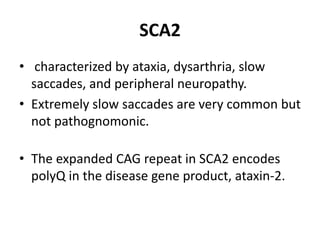 SCA2
• characterized by ataxia, dysarthria, slow
saccades, and peripheral neuropathy.
• Extremely slow saccades are very common but
not pathognomonic.
• The expanded CAG repeat in SCA2 encodes
polyQ in the disease gene product, ataxin-2.
 