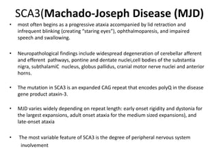SCA3(Machado-Joseph Disease (MJD)
• most often begins as a progressive ataxia accompanied by lid retraction and
infrequent blinking (creating “staring eyes”), ophthalmoparesis, and impaired
speech and swallowing.
• Neuropathological findings include widespread degeneration of cerebellar afferent
and efferent pathways, pontine and dentate nuclei,cell bodies of the substantia
nigra, subthalamiC nucleus, globus pallidus, cranial motor nerve nuclei and anterior
horns.
• The mutation in SCA3 is an expanded CAG repeat that encodes polyQ in the disease
gene product ataxin-3.
• MJD varies widely depending on repeat length: early onset rigidity and dystonia for
the largest expansions, adult onset ataxia for the medium sized expansions), and
late-onset ataxia
• The most variable feature of SCA3 is the degree of peripheral nervous system
involvement
 