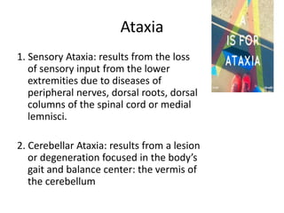 Ataxia
1. Sensory Ataxia: results from the loss
of sensory input from the lower
extremities due to diseases of
peripheral nerves, dorsal roots, dorsal
columns of the spinal cord or medial
lemnisci.
2. Cerebellar Ataxia: results from a lesion
or degeneration focused in the body’s
gait and balance center: the vermis of
the cerebellum
 