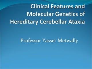 Professor Yasser Metwally 