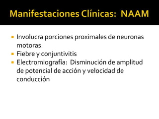 



Involucra porciones proximales de neuronas
motoras
Fiebre y conjuntivitis
Electromiografía: Disminución de amplitud
de potencial de acción y velocidad de
conducción

 