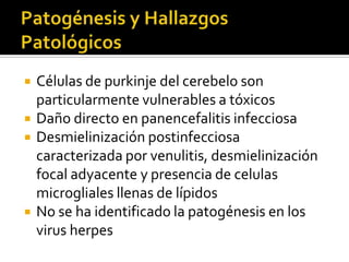 





Células de purkinje del cerebelo son
particularmente vulnerables a tóxicos
Daño directo en panencefalitis infecciosa
Desmielinización postinfecciosa
caracterizada por venulitis, desmielinización
focal adyacente y presencia de celulas
microgliales llenas de lípidos
No se ha identificado la patogénesis en los
virus herpes

 