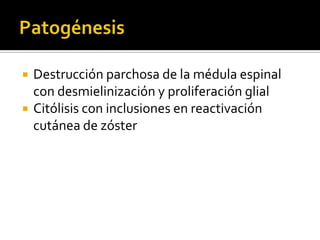 


Destrucción parchosa de la médula espinal
con desmielinización y proliferación glial
Citólisis con inclusiones en reactivación
cutánea de zóster

 