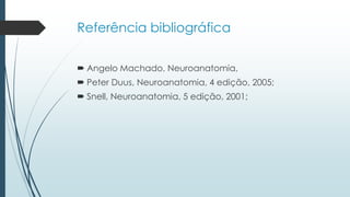 Referência bibliográfica
 Angelo Machado, Neuroanatomia,
 Peter Duus, Neuroanatomia, 4 edição, 2005;
 Snell, Neuroanatomia, 5 edição, 2001;
 