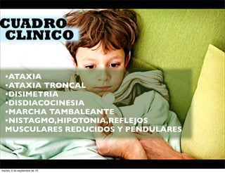 CUADRO 
CLINICO 
•ATAXIA 
•ATAXIA TRONCAL 
•DISIMETRIA 
•DISDIACOCINESIA 
•MARCHA TAMBALEANTE 
•NISTAGMO,HIPOTONIA,REFLEJOS 
MUSCULARES REDUCIDOS Y PENDULARES 
martes, 9 de septiembre de 14 
 