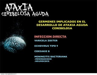 ATAXIA 
CEREBELOSA AGUDA 
GERMENES IMPLICADOS EN EL 
DESARROLLO DE ATAXIA AGUDA 
CEREBELOSA 
INFECCION DIRECTA 
VARICELA ZOSTER 
ECHOVIRUS TIPO 9 
COXSAKIE B 
MENINGITIS BACTERIANA 
-MENINGOCOCO 
-NEUMOCOCO 
martes, 9 de septiembre de 14 
 