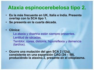 Ataxia espinocerebelosa tipo 2. Es la más frecuente en UK, Italia e India. Presenta overlap con la SCA tipo 1. Se presenta en la cuarta década. Clínica: La ataxia y disartria están siempre presentes. Lentitud de sácadas. Temblor, corea, distonía, hiporreflexia y demencia (tardíos). Ocurre una mutación del gen SCA 2 (12q), consistente en una expansión CAG (34 – 59), produciéndo la ataxina 2, presente en el citoplasma. 