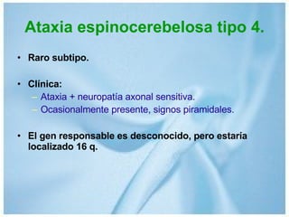 Ataxia espinocerebelosa tipo 4. Raro subtipo. Clínica: Ataxia + neuropatía axonal sensitiva. Ocasionalmente presente, signos piramidales. El gen responsable es desconocido, pero estaría localizado 16 q. 