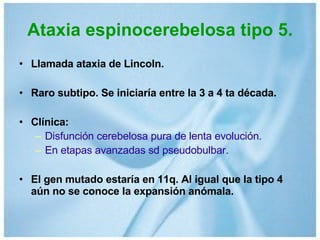 Ataxia espinocerebelosa tipo 5. Llamada ataxia de Lincoln. Raro subtipo. Se iniciaría entre la 3 a 4 ta década. Clínica:   Disfunción cerebelosa pura de lenta evolución. En etapas avanzadas sd pseudobulbar. El gen mutado estaría en 11q. Al igual que la tipo 4 aún no se conoce la expansión anómala. 