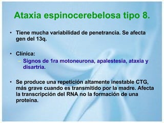 Ataxia espinocerebelosa tipo 8. Tiene mucha variabilidad de penetrancia. Se afecta gen del 13q. Clínica: Signos de 1ra motoneurona, apalestesia, ataxia y disartria. Se produce una repetición altamente inestable CTG, más grave cuando es transmitido por la madre. Afecta la transcripción del RNA no la formación de una proteína. 