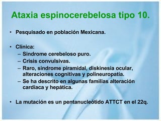 Ataxia espinocerebelosa tipo 10. Pesquisado en población Mexicana. Clínica:  Sindrome cerebeloso puro. Crisis convulsivas. Raro, sindrome piramidal, diskinesia ocular, alteraciones cognitivas y polineuropatía. Se ha descrito en algunas familias alteración cardíaca y hepática. La mutación es un pentanucleótido ATTCT en el 22q. 