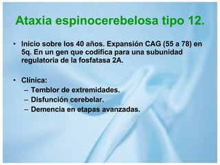Ataxia espinocerebelosa tipo 12. Inicio sobre los 40 años. Expansión CAG (55 a 78) en 5q. En un gen que codifica para una subunidad regulatoria de la fosfatasa 2A. Clínica: Temblor de extremidades. Disfunción cerebelar. Demencia en etapas avanzadas. 