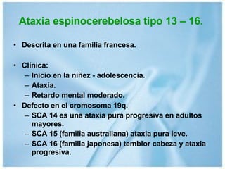 Ataxia espinocerebelosa tipo 13 – 16. Descrita en una familia francesa. Clínica: Inicio en la niñez - adolescencia. Ataxia. Retardo mental moderado. Defecto en el cromosoma 19q. SCA 14 es una ataxia pura progresiva en adultos mayores. SCA 15 (familia australiana) ataxia pura leve. SCA 16 (familia japonesa) temblor cabeza y ataxia progresiva. 