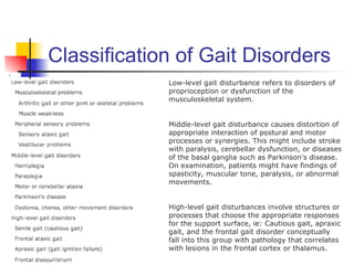 Classification of Gait Disorders
             Low-level gait disturbance refers to disorders of
             proprioception or dysfunction of the
             musculoskeletal system.


             Middle-level gait disturbance causes distortion of
             appropriate interaction of postural and motor
             processes or synergies. This might include stroke
             with paralysis, cerebellar dysfunction, or diseases
             of the basal ganglia such as Parkinson's disease.
             On examination, patients might have findings of
             spasticity, muscular tone, paralysis, or abnormal
             movements.


             High-level gait disturbances involve structures or
             processes that choose the appropriate responses
             for the support surface, ie: Cautious gait, apraxic
             gait, and the frontal gait disorder conceptually
             fall into this group with pathology that correlates
             with lesions in the frontal cortex or thalamus.
 