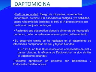•Perfil de seguridad: Riesgo de miopatías. Incrementos
importantes niveles CPK asociados a mialgias, y/o debilidad,
casos rabdomiolisis (aislados, el 50% si IR preexistente o con
medicación conjunta de riesgo).
• Pacientes que desarrollen signos o síntomas de neuropatía
periférica, debe considerarse la interrupción del tratamiento.
• Su desarrollo clínico se ha realizado en el tratamiento de
infecciones complicadas de piel y tejidos blandos:
 En 2 EC en fase III en infecciones complicadas de piel y
partes blandas, la eficacia de Daptomicina ha sido similar
al tratamiento estandar.
• Reciente aprobación en paciente con Bacteriemia y
Endocaritis Estafilococcica
 