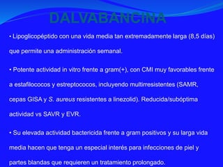 • Lipoglicopéptido con una vida media tan extremadamente larga (8,5 días)
que permite una administración semanal.
• Potente actividad in vitro frente a gram(+), con CMI muy favorables frente
a estafilococos y estreptococos, incluyendo multirresistentes (SAMR,
cepas GISA y S. aureus resistentes a linezolid). Reducida/subóptima
actividad vs SAVR y EVR.
• Su elevada actividad bactericida frente a gram positivos y su larga vida
media hacen que tenga un especial interés para infecciones de piel y
partes blandas que requieren un tratamiento prolongado.
DALVABANCINA
 