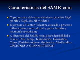 Caracteristicas del SAMR-com
 Cepa que nace del estrecruzamiento genético Staph.
epi MR y Staph. aur. MS viruletos
 Exotoxina de Panton-Valentine asociada a procesos
inflamatorios severos de piel y partes blandas y
neumonía necrotizante
 A diferencia del SAMR-hosp. posee Sensibilidad a
Clinda, TMS, Ramp., Telitromicina, Doxiciclina,
Cipro. (Variable) tópicos: Mupirocina-Ado.Fusídico
OPCIONES A GLICOPEPTIDOS!
 