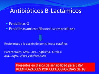Antibióticos B-Lactámicos
 Penicilinas G
 Penicilinas antiestafilococcicas(meticilina)
Resistentes a la acción de penicilinasa estafiloc
Parenterales: Meti., oxa., nafcilina. Orales:
oxa., nafci., cloxa y dicloxacilina
Presentes en discos de sensibilidad para Estaf,
REEMPLAZABLES POR CEFALOSPORINAS de 1G
 