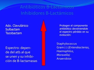 Ado. Clavulánico
Sulbactam
Tazobactam
Espectro: depen-
de del atb.al que
se unen y su inhibi-
ción de B-lactamasas
Protegen el componente
antibiótico devolviendole
el espectro pérdido en su
evolución:
Staphylococcus
Gram (-) (Enterobacterias,
Haemophilus,
Moraxella)
Anaerobios
 