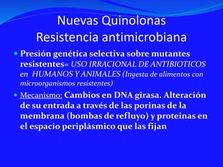 Nuevas Quinolonas
Resistencia antimicrobiana
 Presión genética selectiva sobre mutantes
resistentes= USO IRRACIONAL DE ANTIBIOTICOS
en HUMANOS Y ANIMALES (Ingesta de alimentos con
microorganismos resistentes)
 Mecanismo: Cambios en DNA girasa. Alteración
de su entrada a través de las porinas de la
membrana (bombas de refluyo) y proteinas en
el espacio periplásmico que las fijan
 