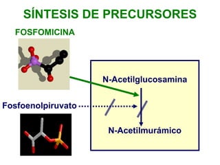 N-Acetilglucosamina
N-Acetilmurámico
Fosfoenolpiruvato
SÍNTESIS DE PRECURSORES
FOSFOMICINA
 