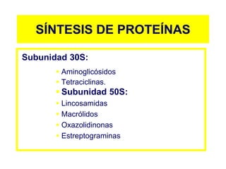 SÍNTESIS DE PROTEÍNAS
Subunidad 30S:
 Aminoglicósidos
 Tetraciclinas.
 Subunidad 50S:
 Lincosamidas
 Macrólidos
 Oxazolidinonas
 Estreptograminas
 