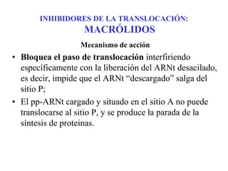 INHIBIDORES DE LA TRANSLOCACIÓN:
MACRÓLIDOS
Mecanismo de acción
• Bloquea el paso de translocación interfiriendo
específicamente con la liberación del ARNt desacilado,
es decir, impide que el ARNt “descargado” salga del
sitio P;
• El pp-ARNt cargado y situado en el sitio A no puede
translocarse al sitio P, y se produce la parada de la
síntesis de proteinas.
 