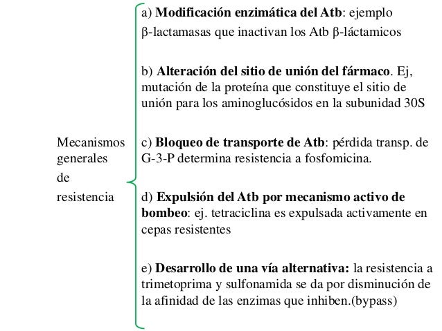 Los medios para la desinfección contra los hongos