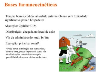 Terapia bem sucedida: atividade antimicrobiana sem toxicidade
significativa para o hospedeiro
Absorção: Cpmáx> CIM
Distribuição: chegada no local de ação
Via de administração: oral/ iv/ im
Excreção: principal renal*
12
*Pode haver eliminação por outras vias,
como o leite, pouco importante como via
de eliminação, mas de interesse pela
possibilidade de causar efeitos no lactante
Bases farmacocinéticas
 