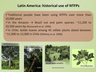 Not by scientists alone: scientific (dis) information and the contribution of traditional ecological knowledge to forest management