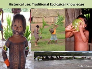 Not by scientists alone: scientific (dis) information and the contribution of traditional ecological knowledge to forest management