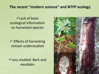 Not by scientists alone: scientific (dis) information and the contribution of traditional ecological knowledge to forest management