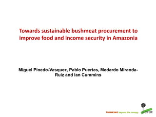 THINKING beyond the canopy
Towards sustainable bushmeat procurement to
improve food and income security in Amazonia
Miguel Pinedo-Vasquez, Pablo Puertas, Medardo Miranda-
Ruiz and Ian Cummins
 