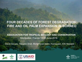 David Gaveau, Douglas Sheil, Mohammad Salim, Husnayaen, Erik Meijaard
ASSOCIATION FOR TROPICAL BIOLOGY AND CONSERVATION
Montpellier, France 19-23 June 2016
FOUR DECADES OF FOREST DEGRADATION:
FIRE AND OIL PALM EXPANSION IN BORNEO
 