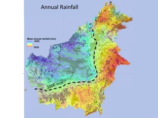 Four decades of forest degradation: Fire And oil palm expansion in Borneo 