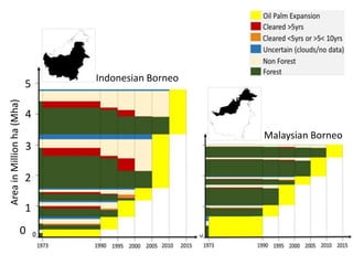 Four decades of forest degradation: Fire And oil palm expansion in Borneo 