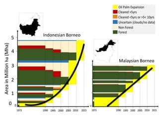 Four decades of forest degradation: Fire And oil palm expansion in Borneo 