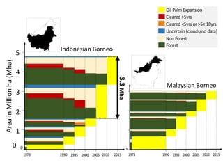 Four decades of forest degradation: Fire And oil palm expansion in Borneo 